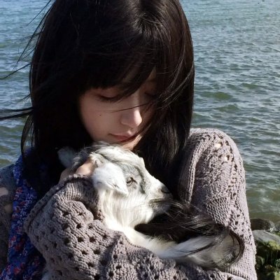哥伦布怪圈海报