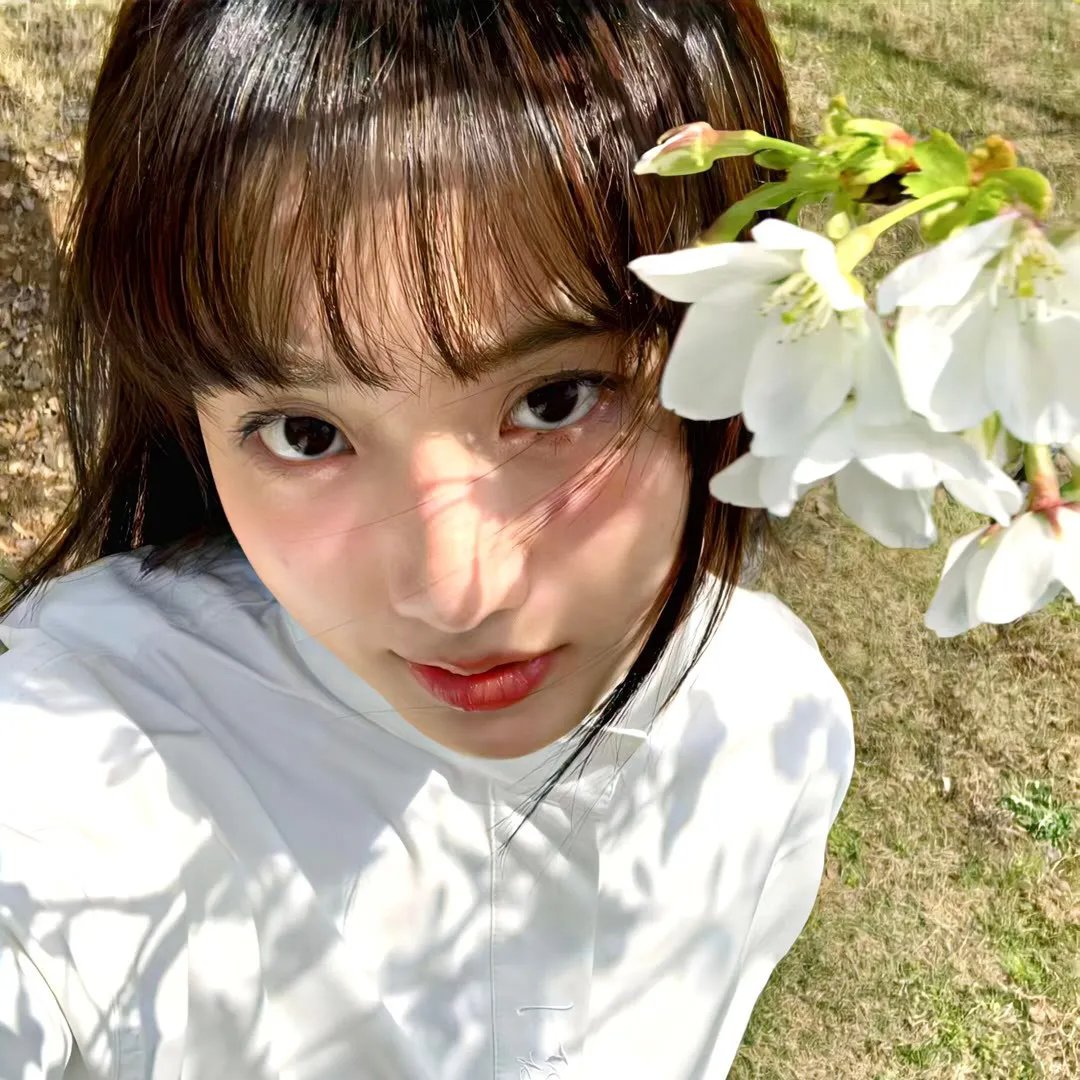 镜花水月情海报